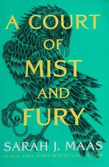 A Court of Mist and Fury by Sarah J. Maas
