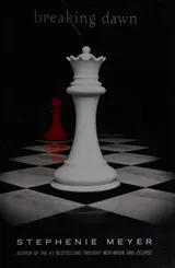 Breaking Dawn (The Twilight Saga, #4) by Stephenie Meyer