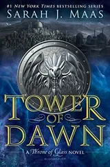 Tower of Dawn (Throne of Glass, #6) by Sarah J. Maas